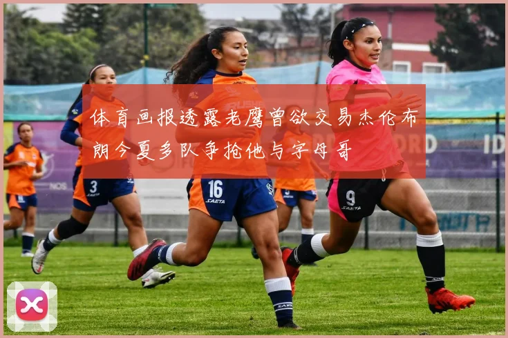 体育画报透露老鹰曾欲交易杰伦布朗今夏多队争抢他与字母哥